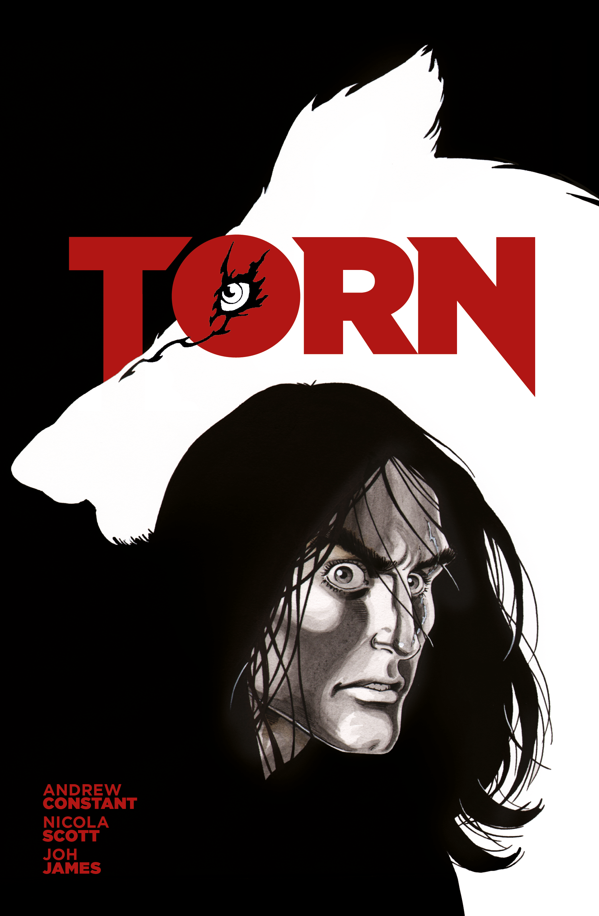 Cover art to the 15th Anniversary Edition of TORN, a graphic novel by Andrew Constant, Nicola Scott and Joh James